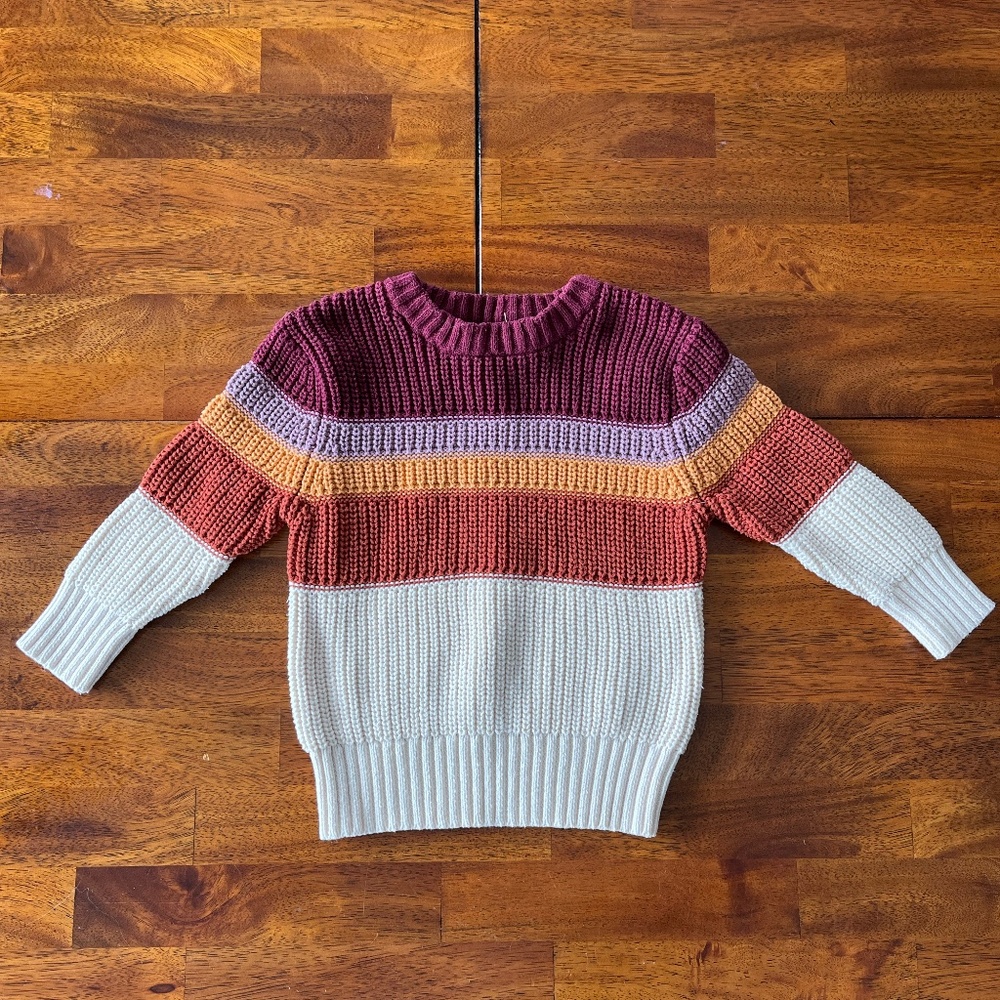 Cat and Jack sweater 18month